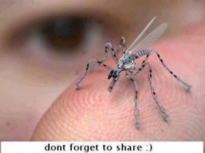 Techno Mosquito