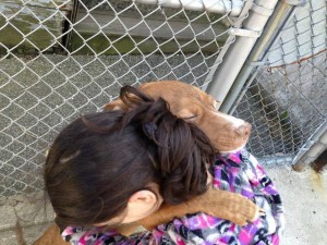 1069293_459460030816647_689561151_n