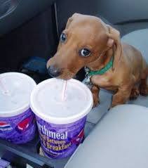 1524956_10202933452045631_76924667_n